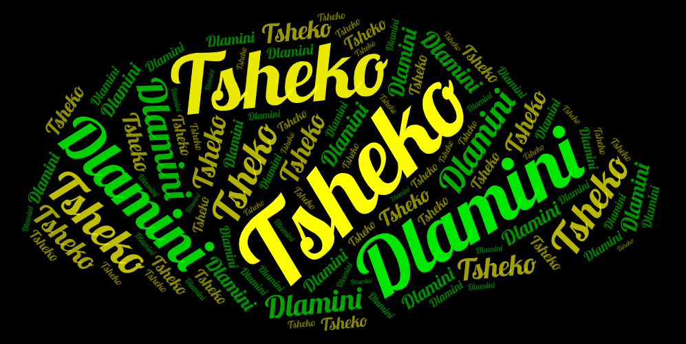 Word art spelling out Tsheko Dlamini